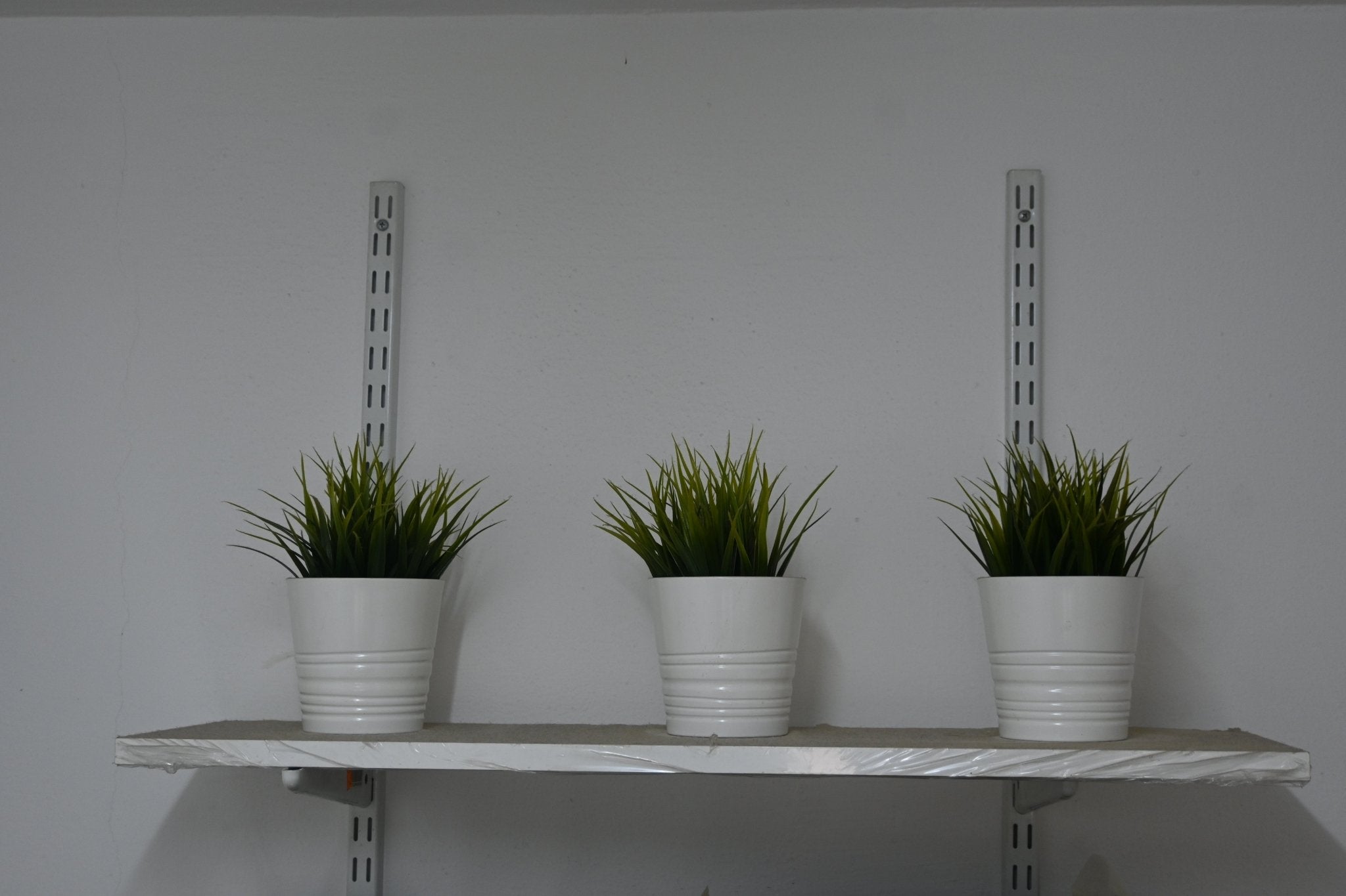 Ikea Plants - The Jerusalem Market