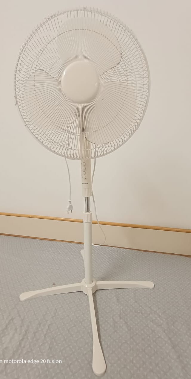 Fan - The Jerusalem Market