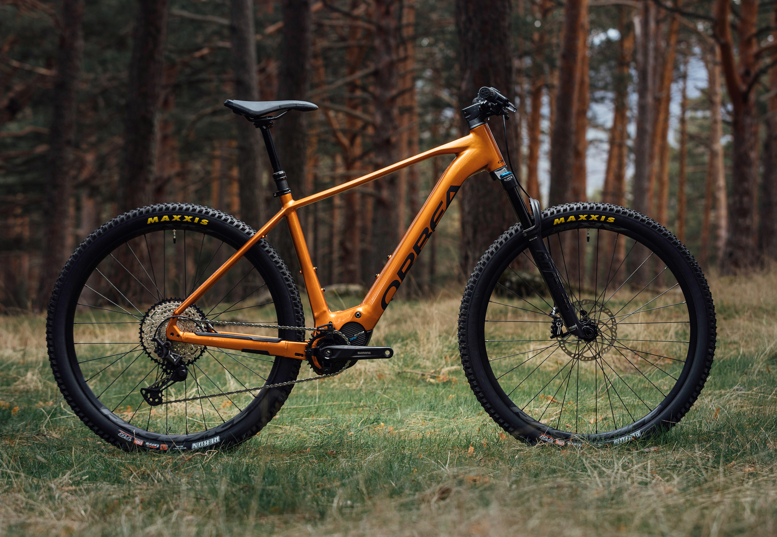 Alpaka 29 Hardtail Mountain Bike
