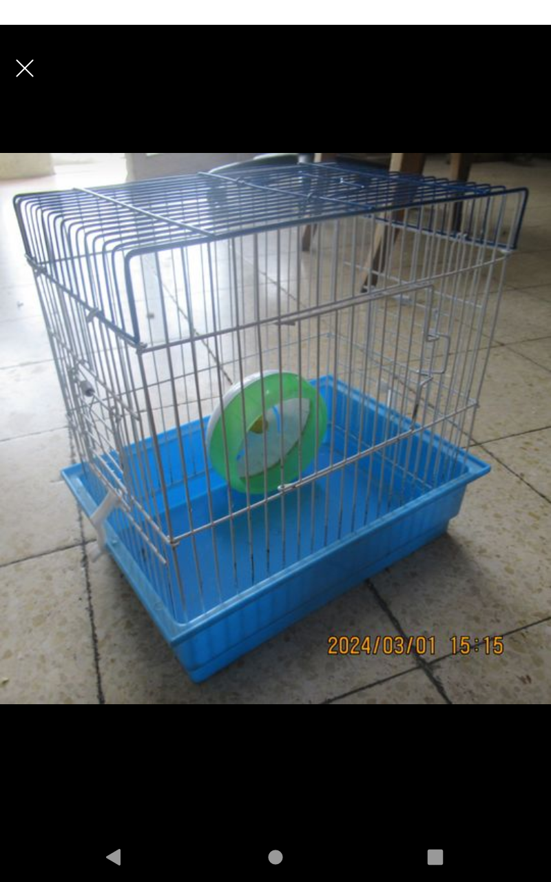 Hamsters, cage, wheel and food