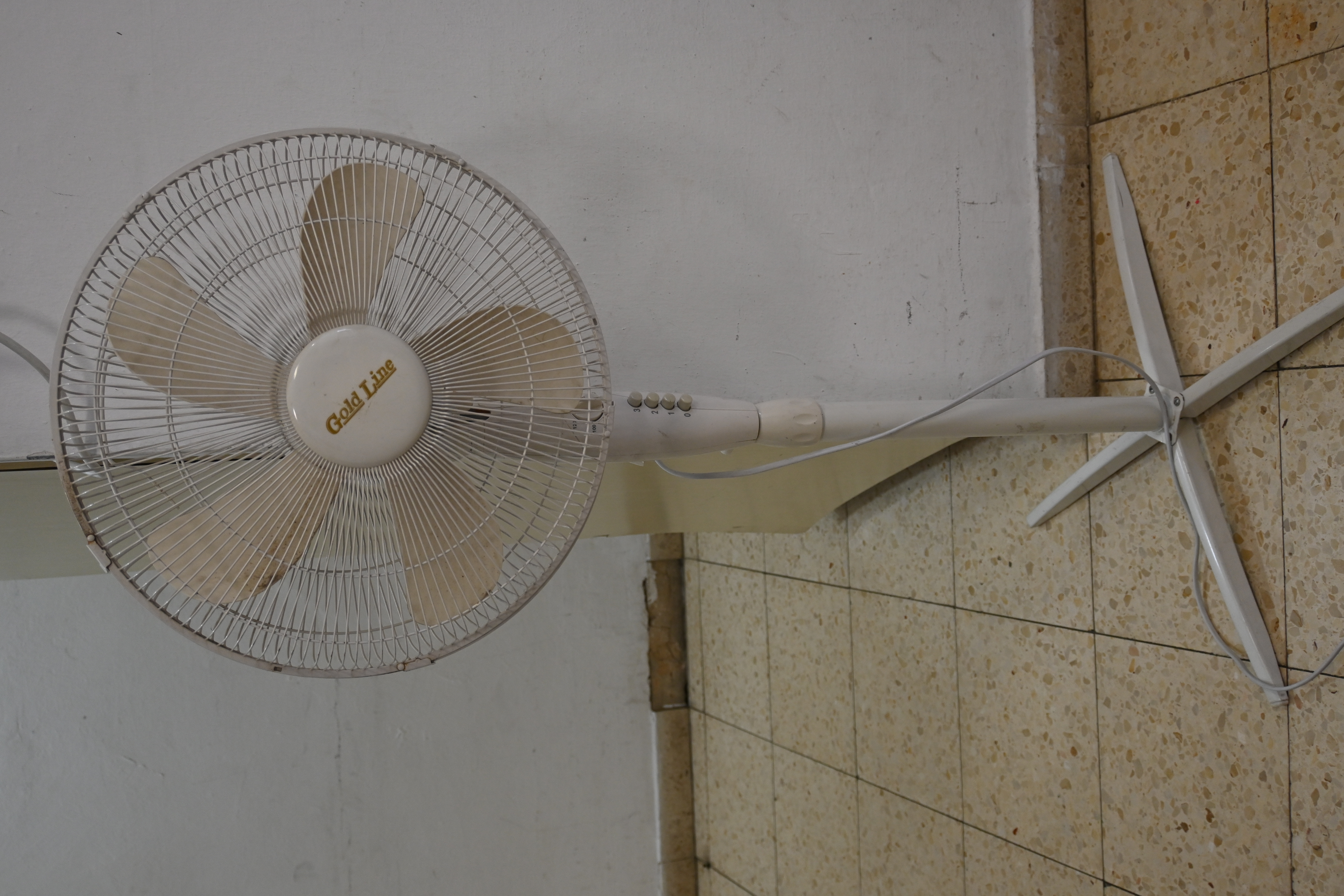 Standing Gold Line Fan