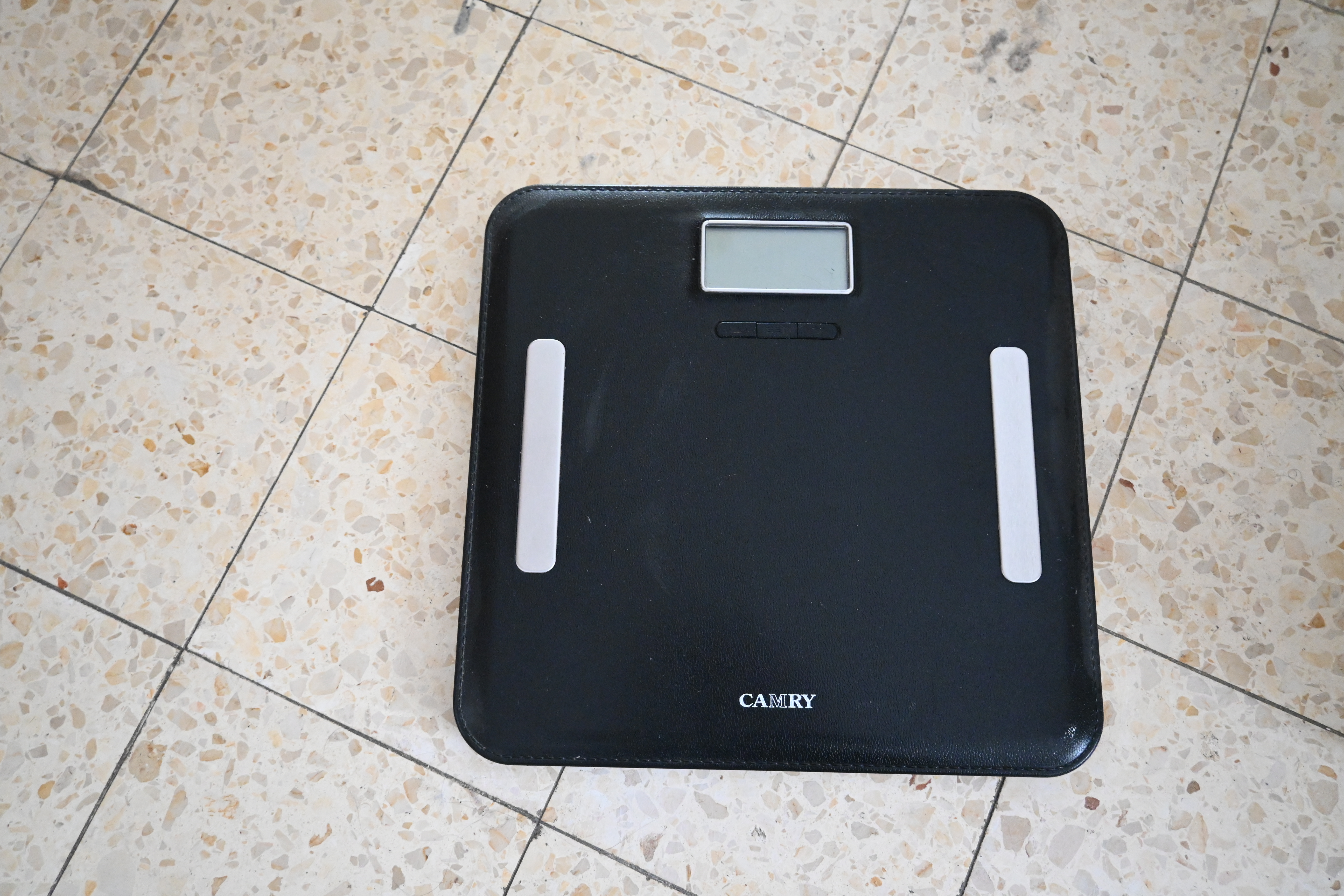 Scale