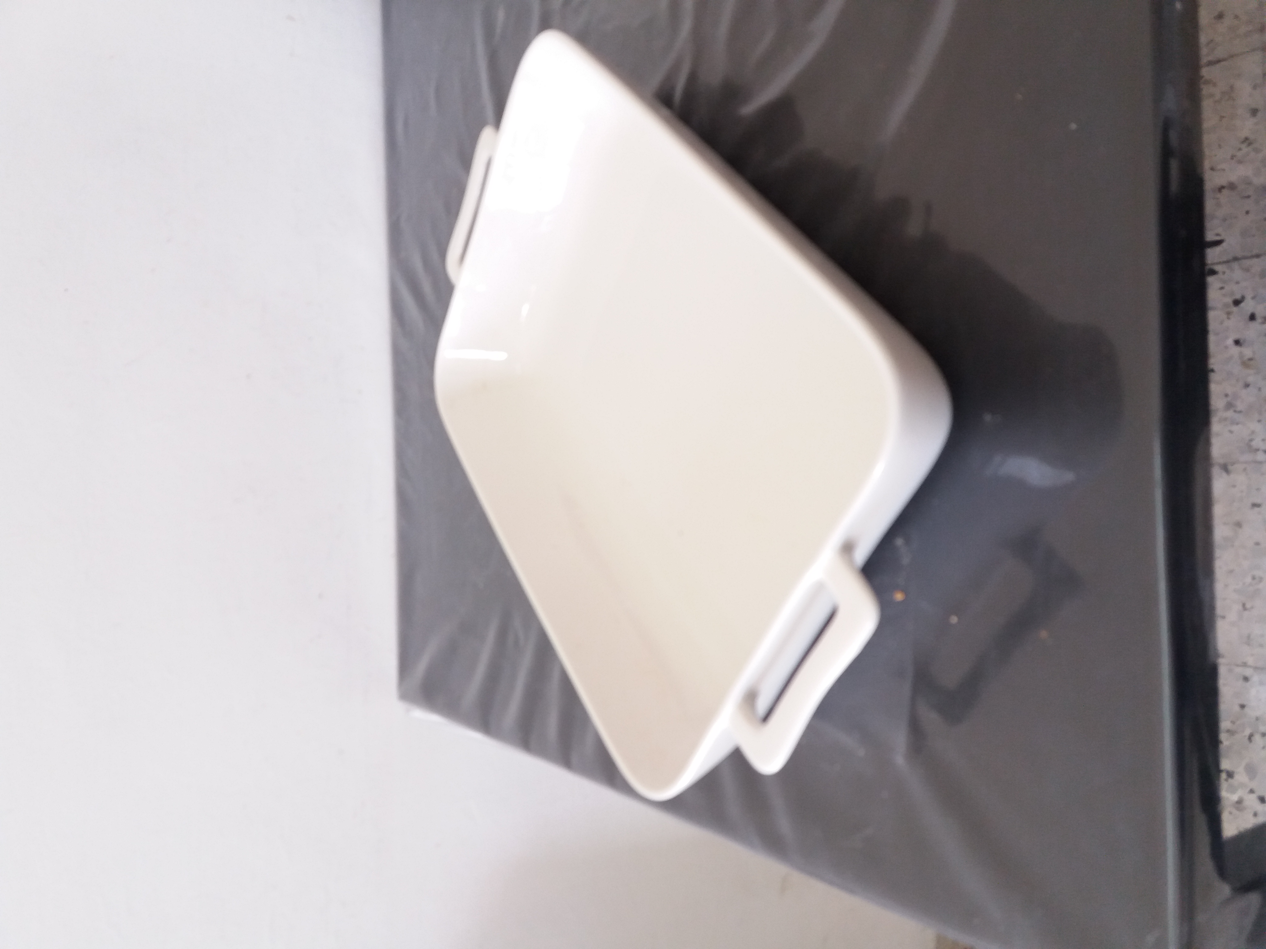 Roaster Oven Dish
