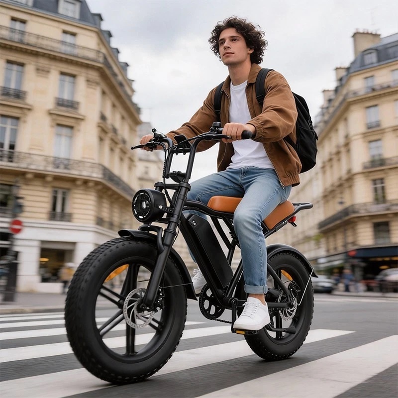 2026 20" E-Bike 250W 48V E-Mountain Bike 45km/h Offroad Moped Electric Motorcycle