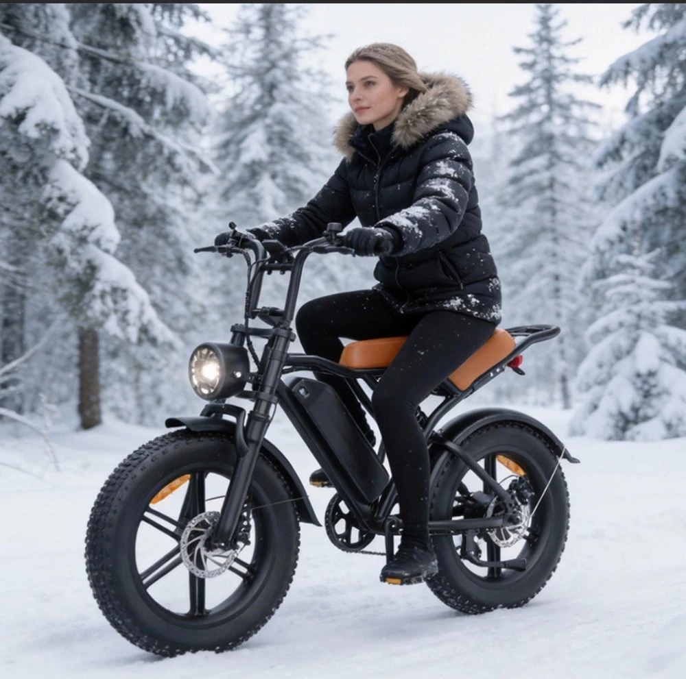 2026 20" E-Bike 250W 48V E-Mountain Bike 45km/h Offroad Moped Electric Motorcycle - image 2