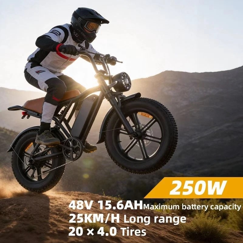 2026 20" E-Bike 250W 48V E-Mountain Bike 45km/h Offroad Moped Electric Motorcycle - image 4