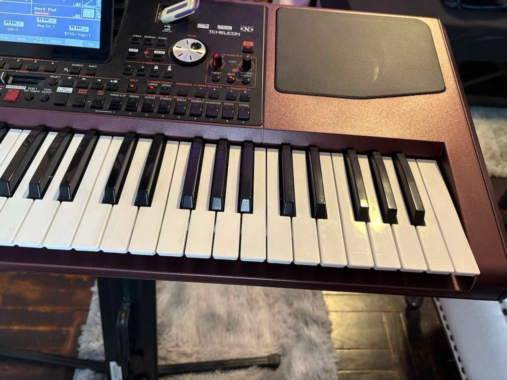 Korg Pa1000 61-Key Professional Arranger Keyboard