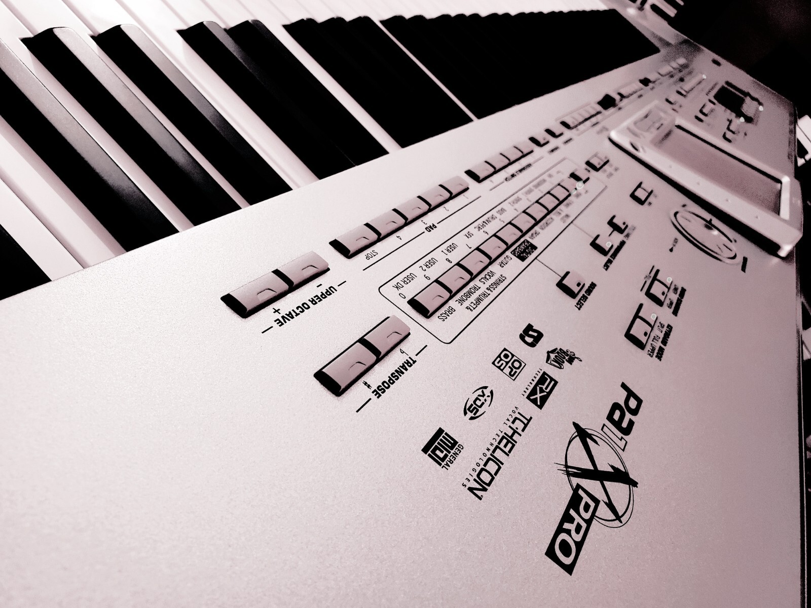 Korg Pa1X Pro 76-Key Professional Arranger Keyboard - image 2