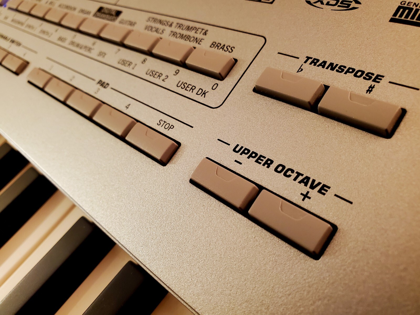 Korg Pa1X Pro 76-Key Professional Arranger Keyboard - image 5