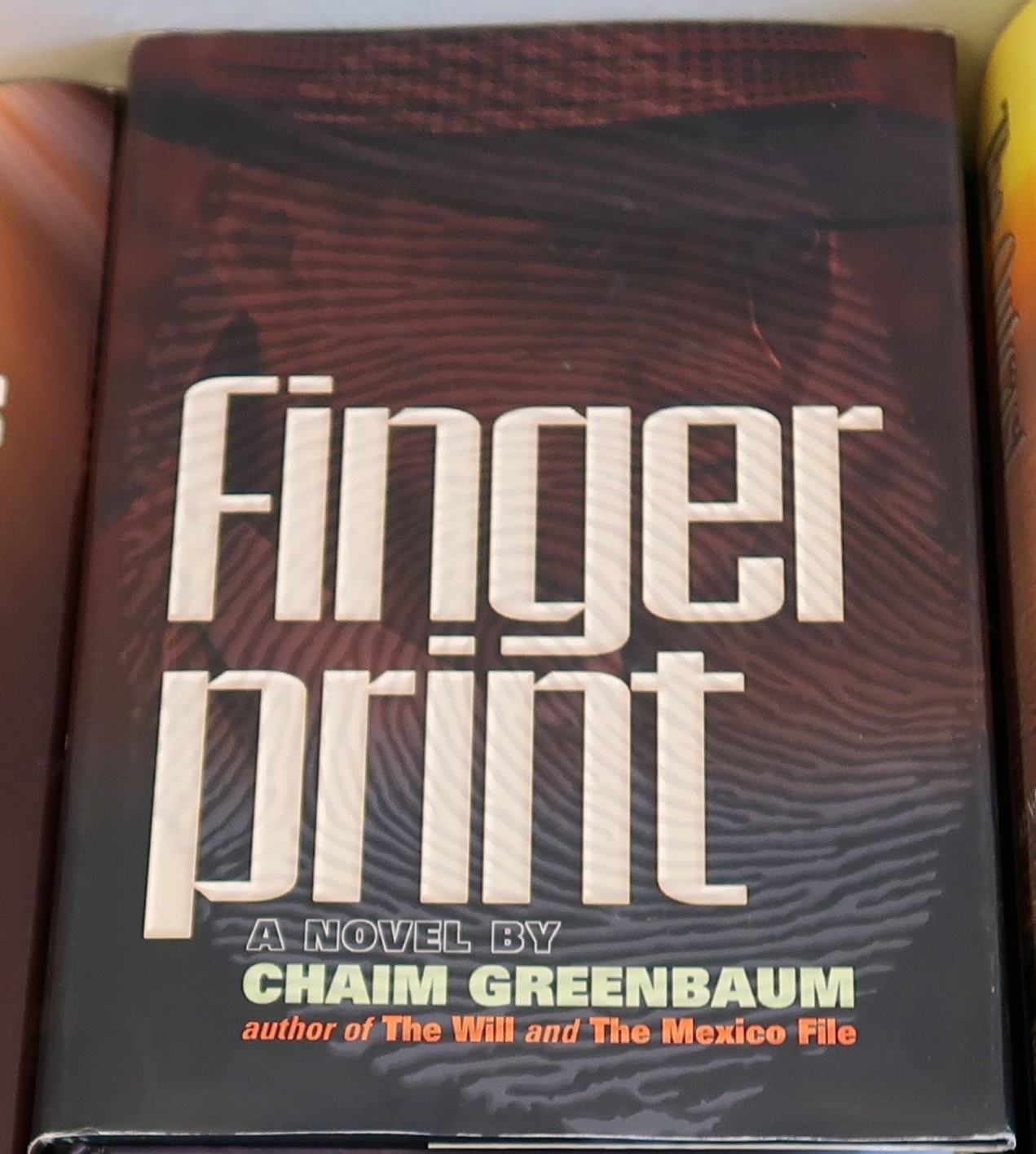 Novel - Fingerprint by Chaim Greenbaum