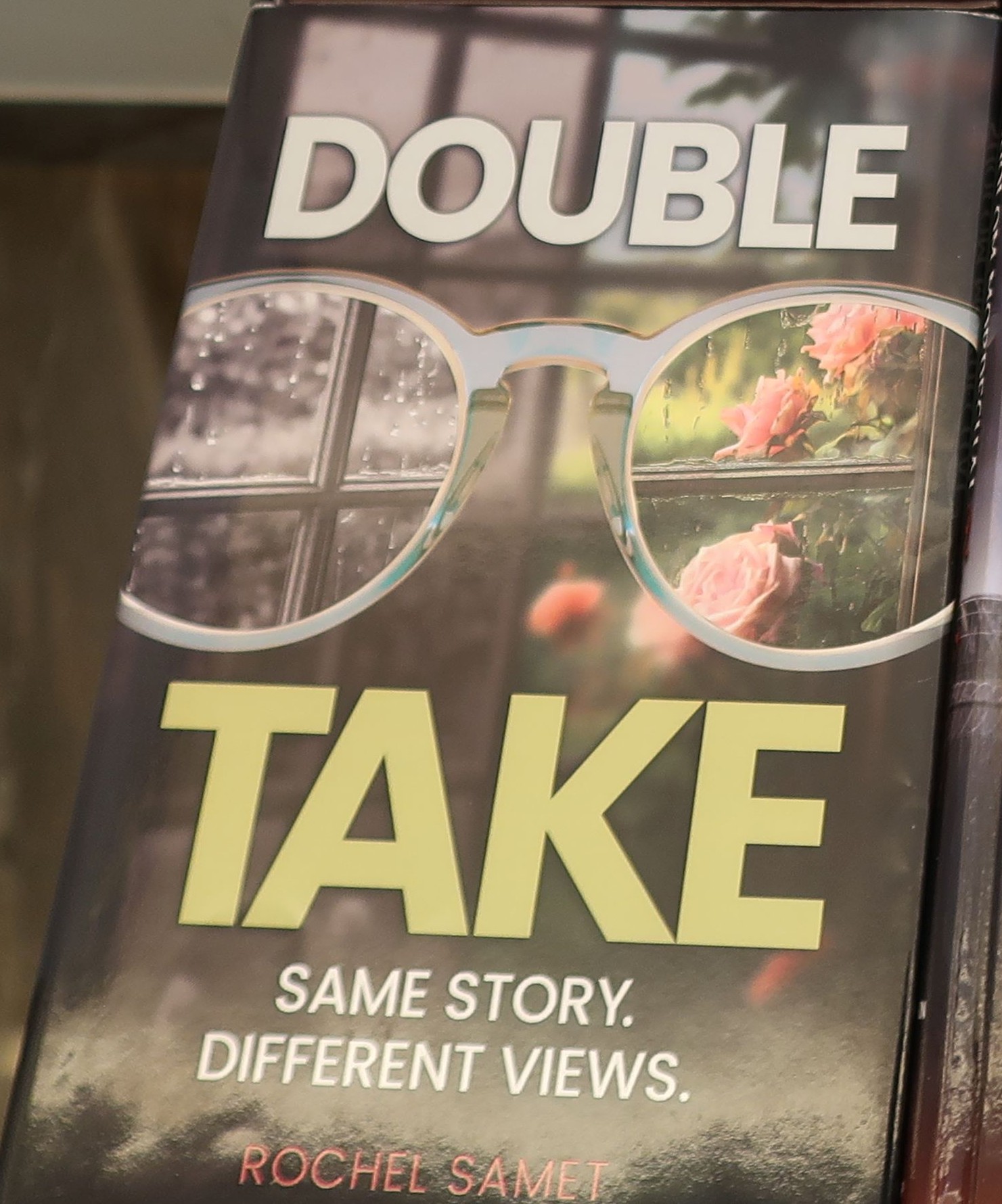 Double Take by Rochel Samet