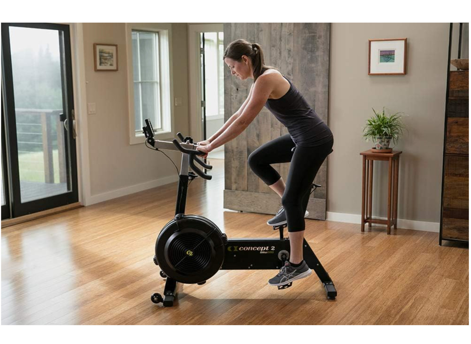 אופני כושר נייחים Concept2 BikeErg 2900 עם צג PM5 - image 2